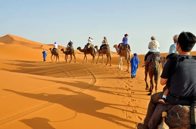 A captivating Explore Morocco's beauty on a 3-day desert tour from Fes to Marrakech, commencing in Fez and culminating in the vibrant city of Marrakech. Immerse yourself in the rich landscapes, cultural gems, and enchanting experiences that characterize this unforgettable journey. From the historic allure of Fez to the mesmerizing dunes of the Sahara, and finally, the vibrant streets of Marrakech, each day unfolds a new chapter in your Moroccan adventure. With comfortable transportation, expert guides, and carefully curated stops, promises a seamless exploration of Morocco's diverse landscapes and timeless charm. Let the allure of the desert and the allure of Morocco's renowned cities create memories that linger long after the journey concludes