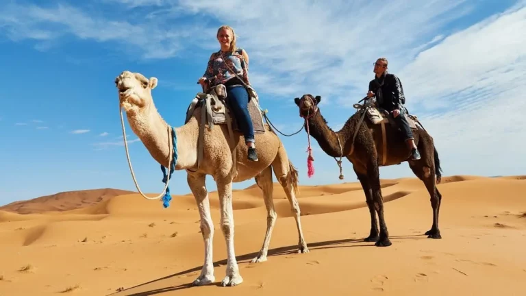 Immerse yourself in 4-days itinerary for a unique journey from Fes to Merzouga, the diverse landscapes and explore the rich cultural tapestry of Morocco on a fascinating four-day expedition from Fez to Merzouga. Our carefully curated itinerary guarantees a distinctive and memorable experience.