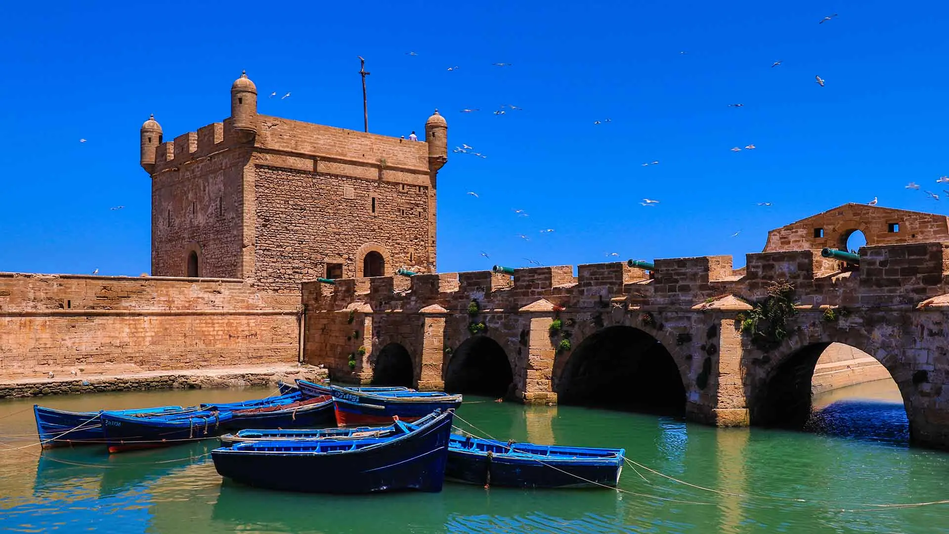 Excursion to Essaouira from Marrakech takes place in Marrakech and we will arrange a meeting location, typically at your accommodation entrance. It's recommended to meet at 7:30 in the morning to make the most of the experience, but we can adjust the time to suit the group's needs.