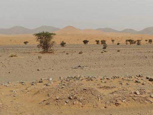 Maroc