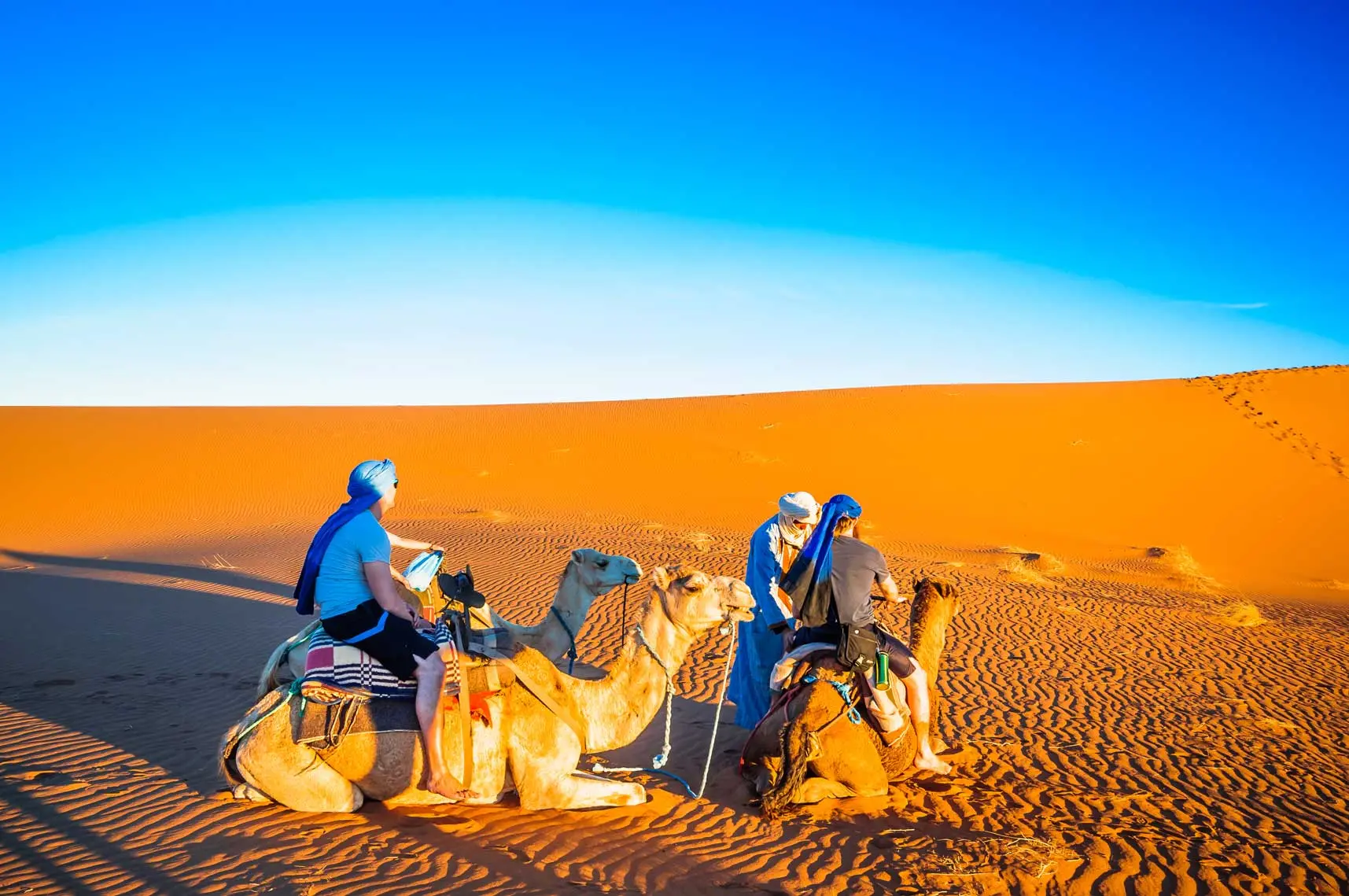 wild Mhamid Camel Trekking  country's largest dunes, its beautiful ochre, yellow and orange colours and daily changing landscape! Admire the sunrise and sunset, a breathtaking spectacle of light and shadow.let's start the tour of 5 days of Wild Mhamid Camel Trekking 