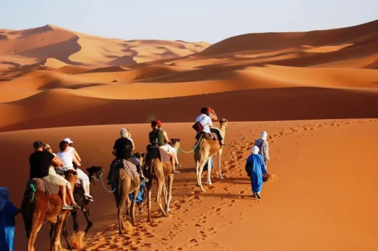 Our 3 Days 2 Nights Camel Trek in Merzouga. Picture hiking and camelback safaris through the mesmerizing Erg Chebbi dunes, immersing yourself in the heart of the Sahara Desert. Every step is a dance with traditional nomadic life, diverse wildlife, and the magic of golden sand. Traverse the majestic Erg Chebbi dunes on foot or embark on a camelback safari for an authentic experience. Immerse yourself in the unique culture of nomadic communities, with their traditions, stories, and sincere hospitality. Observe the varied flora and fauna that inhabit the Sahara Morocco, weaving a colorful tapestry against the vast desert landscape. Recharge in the peacefulness of overnight stays in finely furnished camps nestled amongst the sand dunes. Witness the breathtaking splendor of a starry Sahara night. Embark on an unforgettable adventure where every footprint tells a story, and the vast beauty of the Sahara unravels before your eyes. Join us to explore Erg Chebbi – your passage to the extraordinary