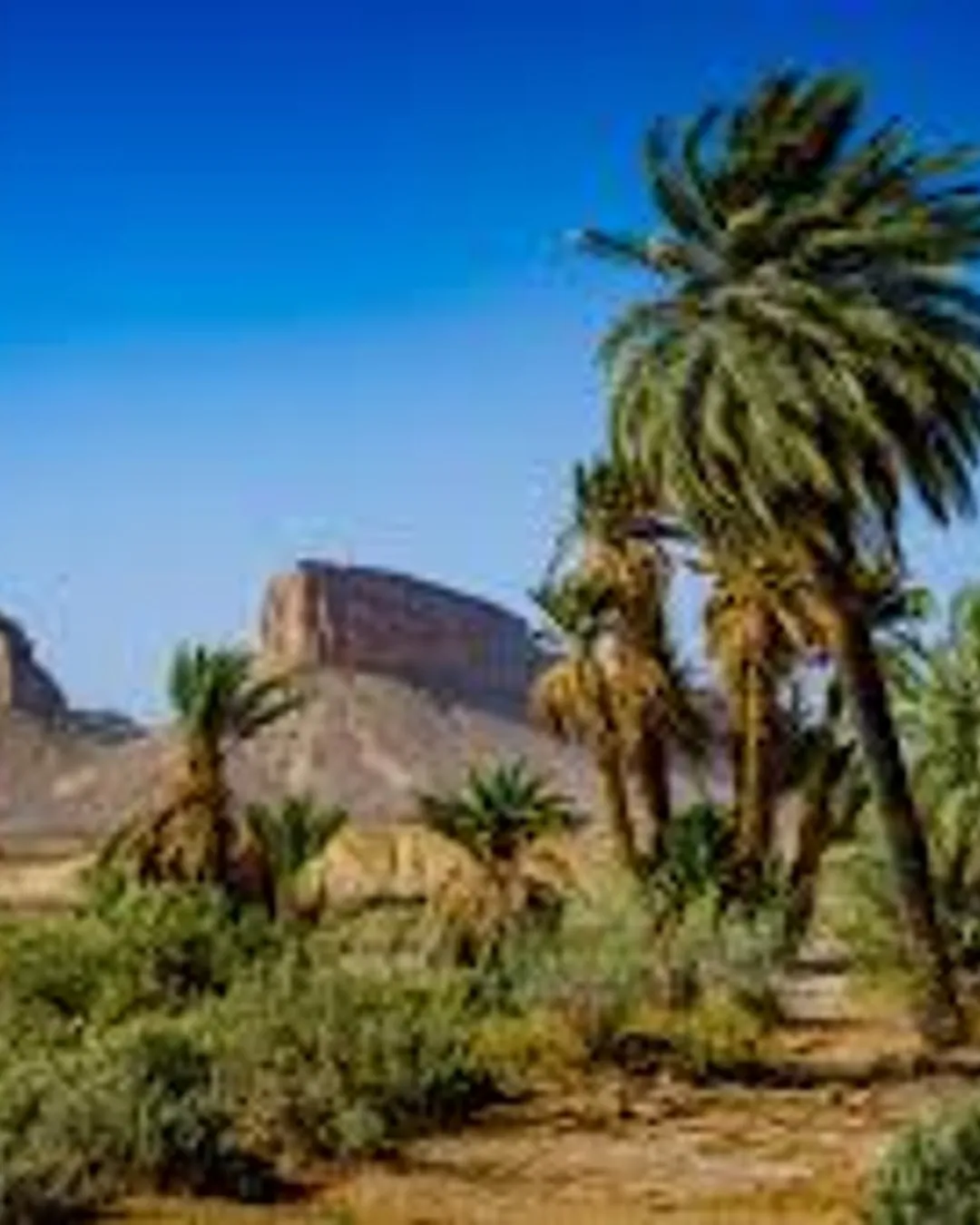 Foum Zguid Morocco