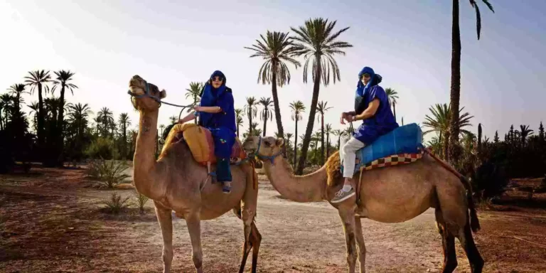 Discover the allure of Morocco with our exclusive 5-day tour, offering an authentic and unique experience. "Experience nomadic hospitality with a night in mountain caves in the enchanting Dades Valley." Indulge in an unforgettable night beneath a starlit sky in the enchanting desert. Uncover the magic of a Moroccan authentic experience. let's start this Special tour with an authentic and unique experience including the Nomad caves and wild desert camp,"Experience a special tour offering an authentic and unique journey. Uncover hidden gems, savor local flavors, and craft lasting memories with our exclusive travel packages. Discover the extraordinary through our one-of-a-kind guided tours.