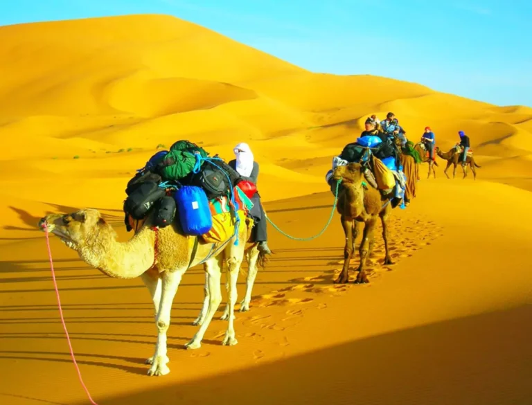 Choose any of our trekking packages to experience the scenic locations, enriched with unforgettable experiences for a comfortable tour Mythic Morocco Tours