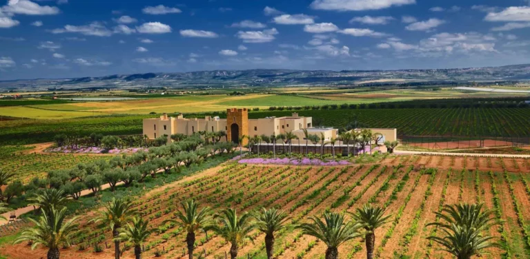 A culinary and imperial adventure: Moroccan Journey: 10 Days of Culinary Delights & Imperial Majesty from Fez.