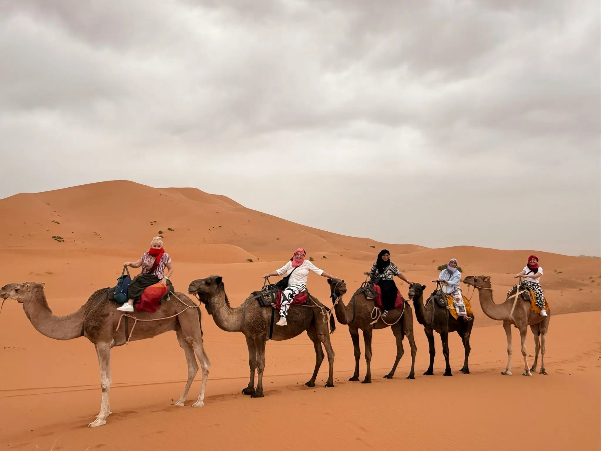 Camel ride across the golden Sahara dunes at sunset