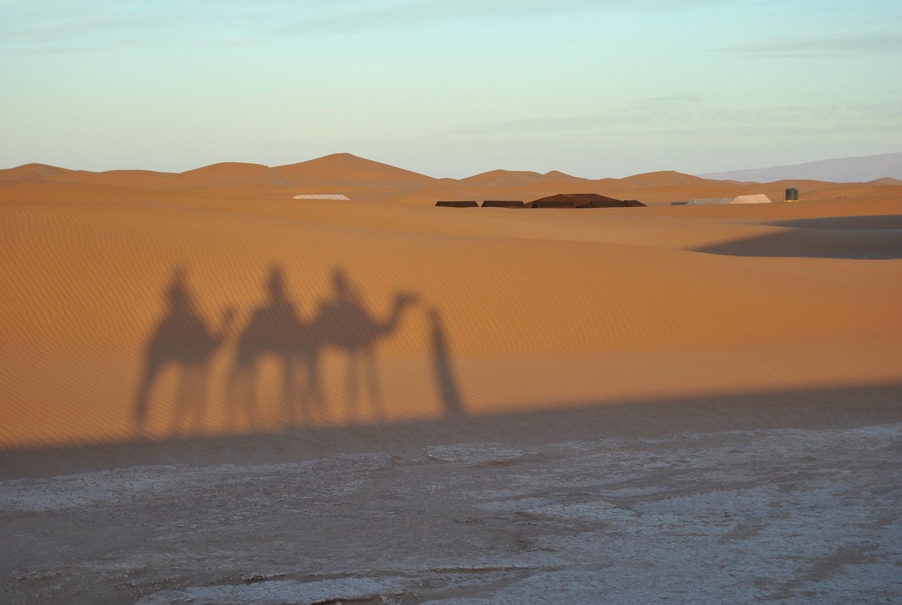 morocco, chegaga, shadow, sand, desert, camel