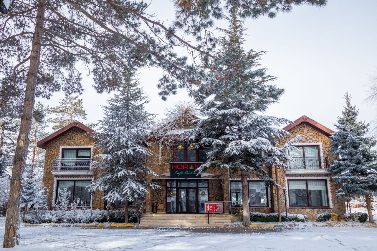 A picturesque café entrance with snowy trees, creating a cozy winter ambiance.