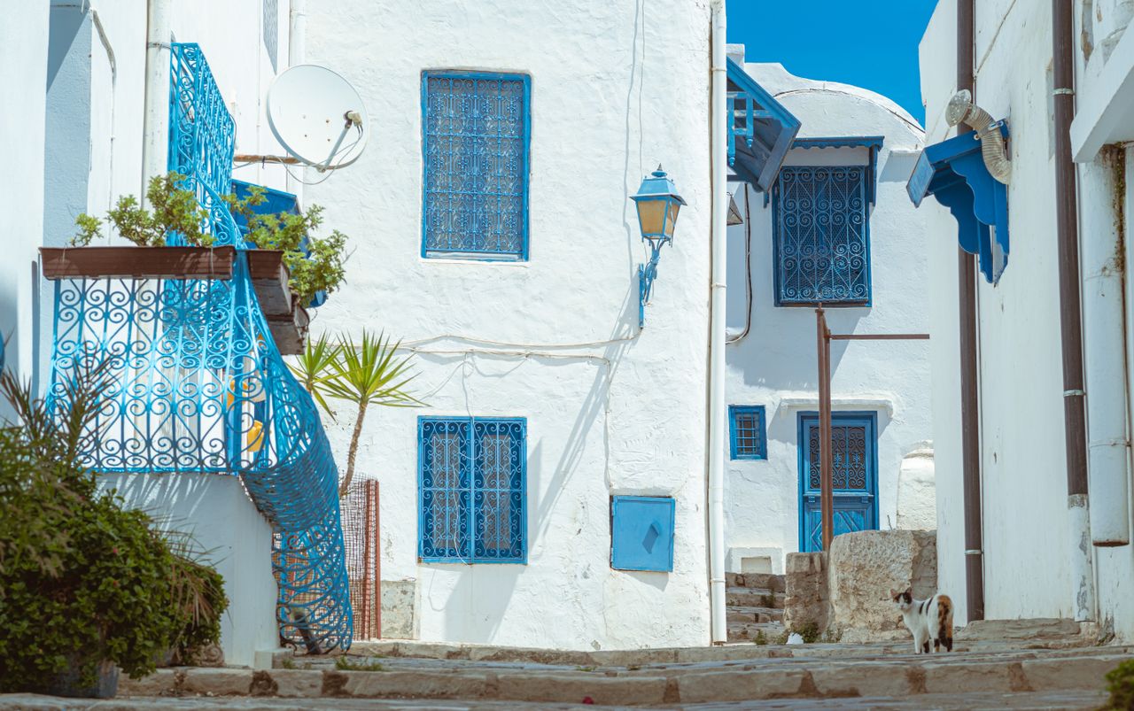 Explore the traditional white and blue architecture of Carthage, Tunisia, in this tranquil street view.
