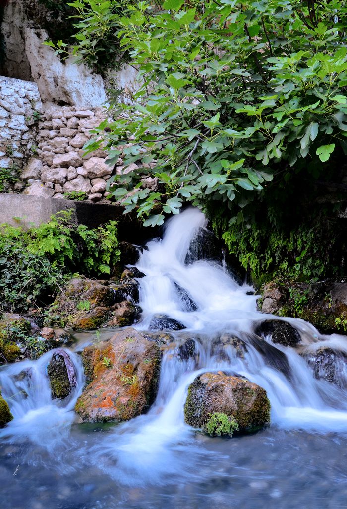 A picturesque waterfall flows through lush greenery in Taounate, Morocco, capturing nature's tranquility.
