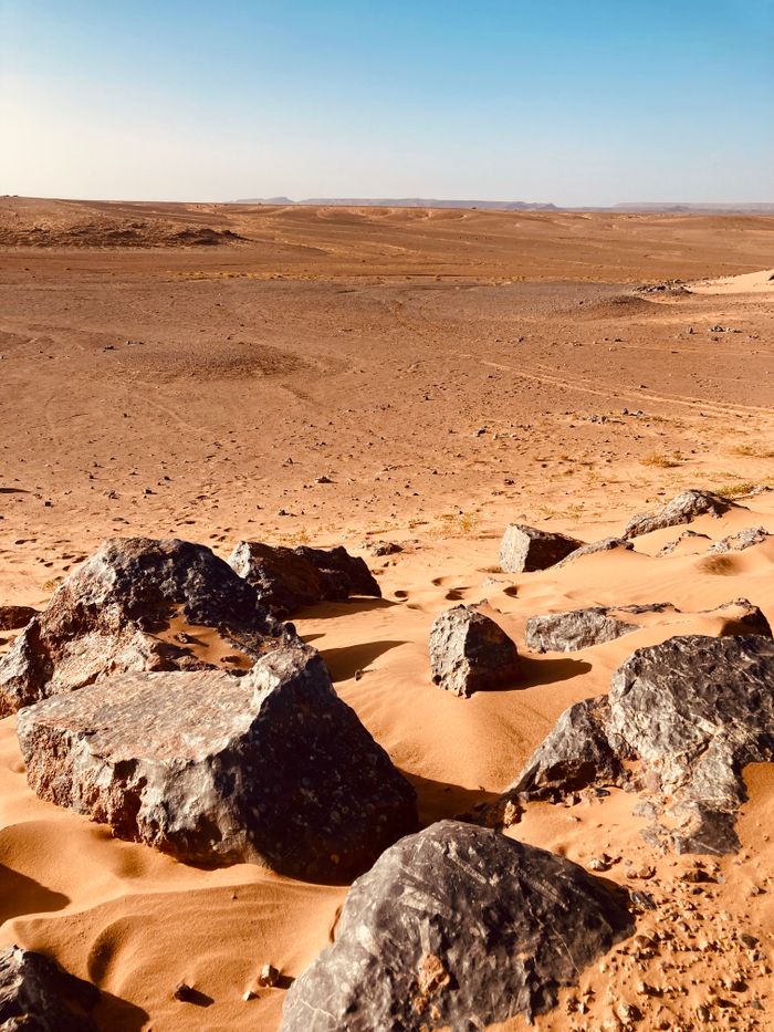 Vast rocky landscape in the Sahara Desert near Merzouga, Morocco, under a clear blue sky.