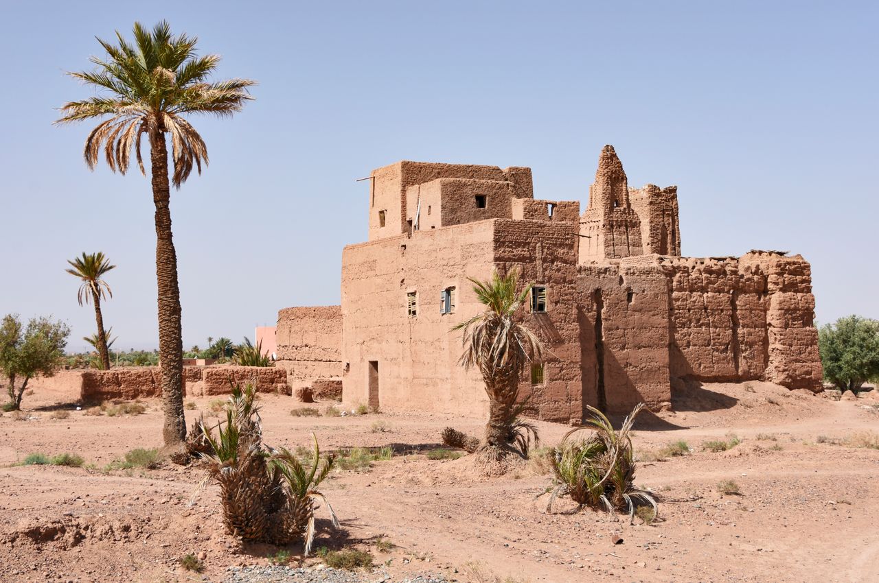 An abandoned adobe building surrounded by palm trees in Skoura desert, Morocco.