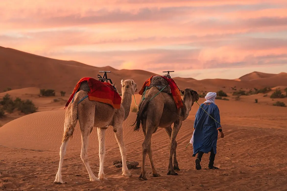 6-Day Morocco Desert Tour from Marrakech to Merzouga Sahara