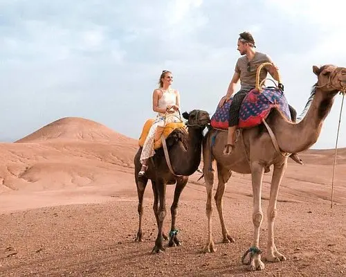 Agafay Camel Trek