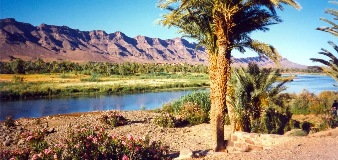 Agdz Oasis