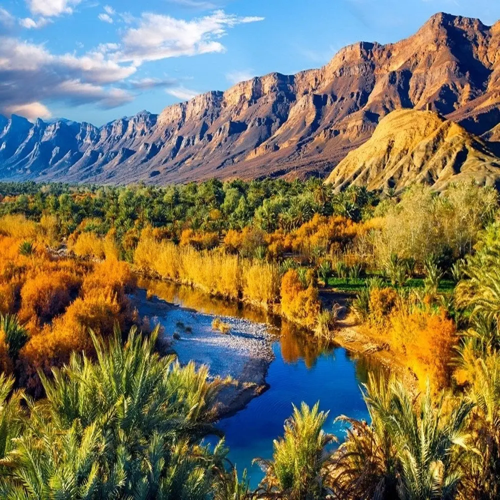 Draa Valley palm oasis