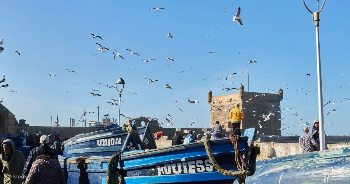 Private Essaouira tour