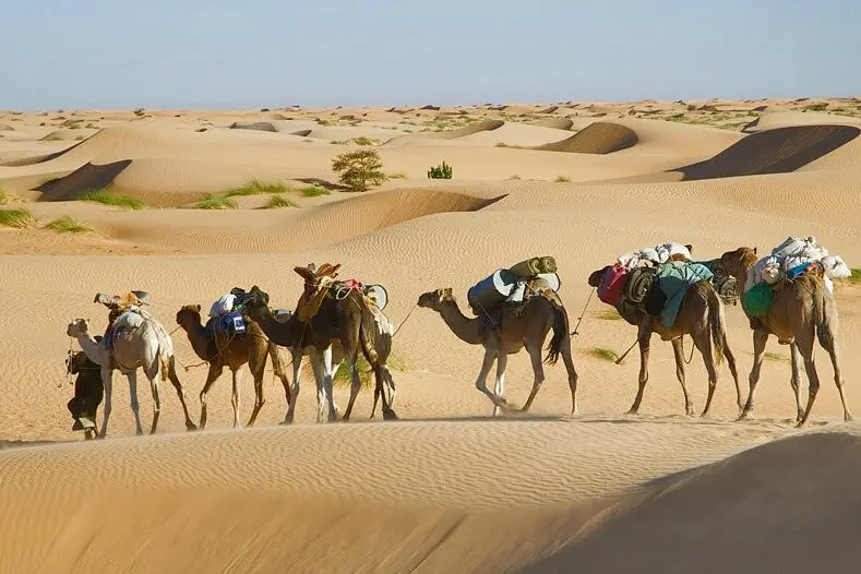 Southern Morocco desert