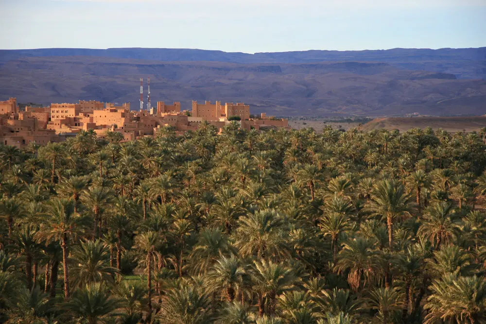 Nkob Morocco