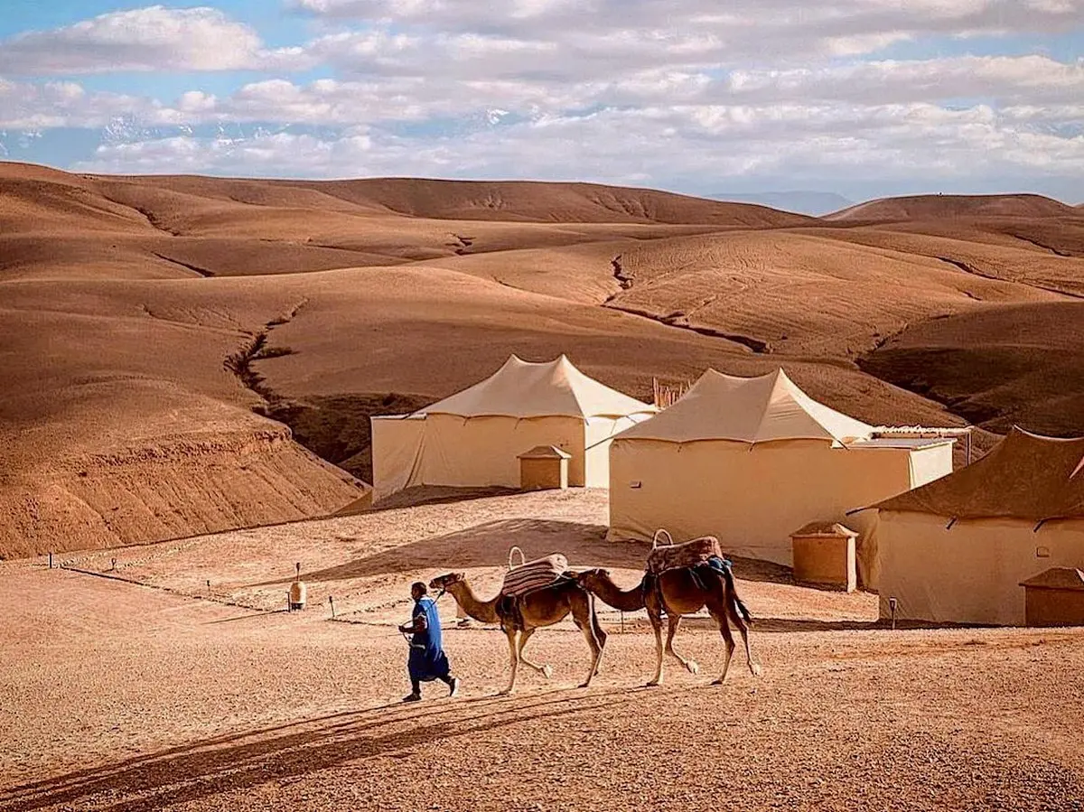 Camel Ride Agafay