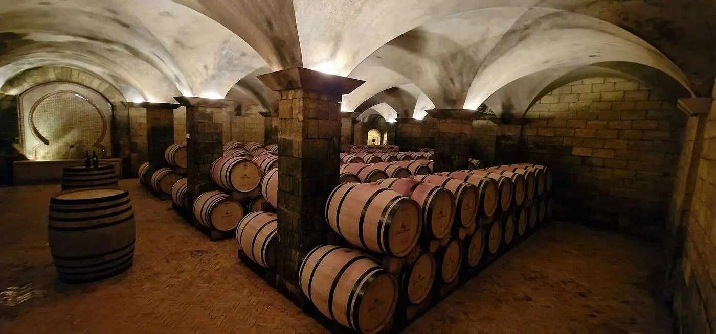 Wine barrels in Moroccan winery cellar near Meknes