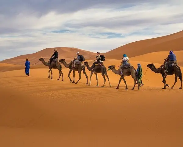 Camel ride into the Sahara Desert Morocco