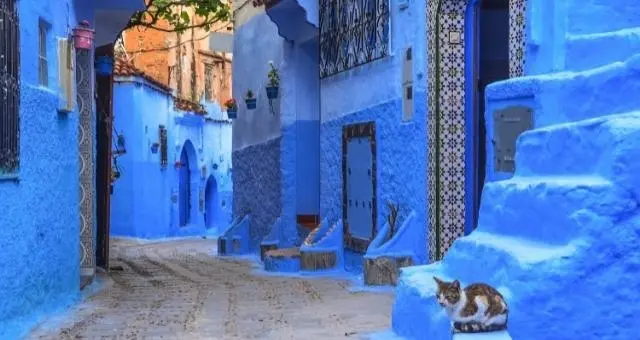 Blue houses in Chefchaouen