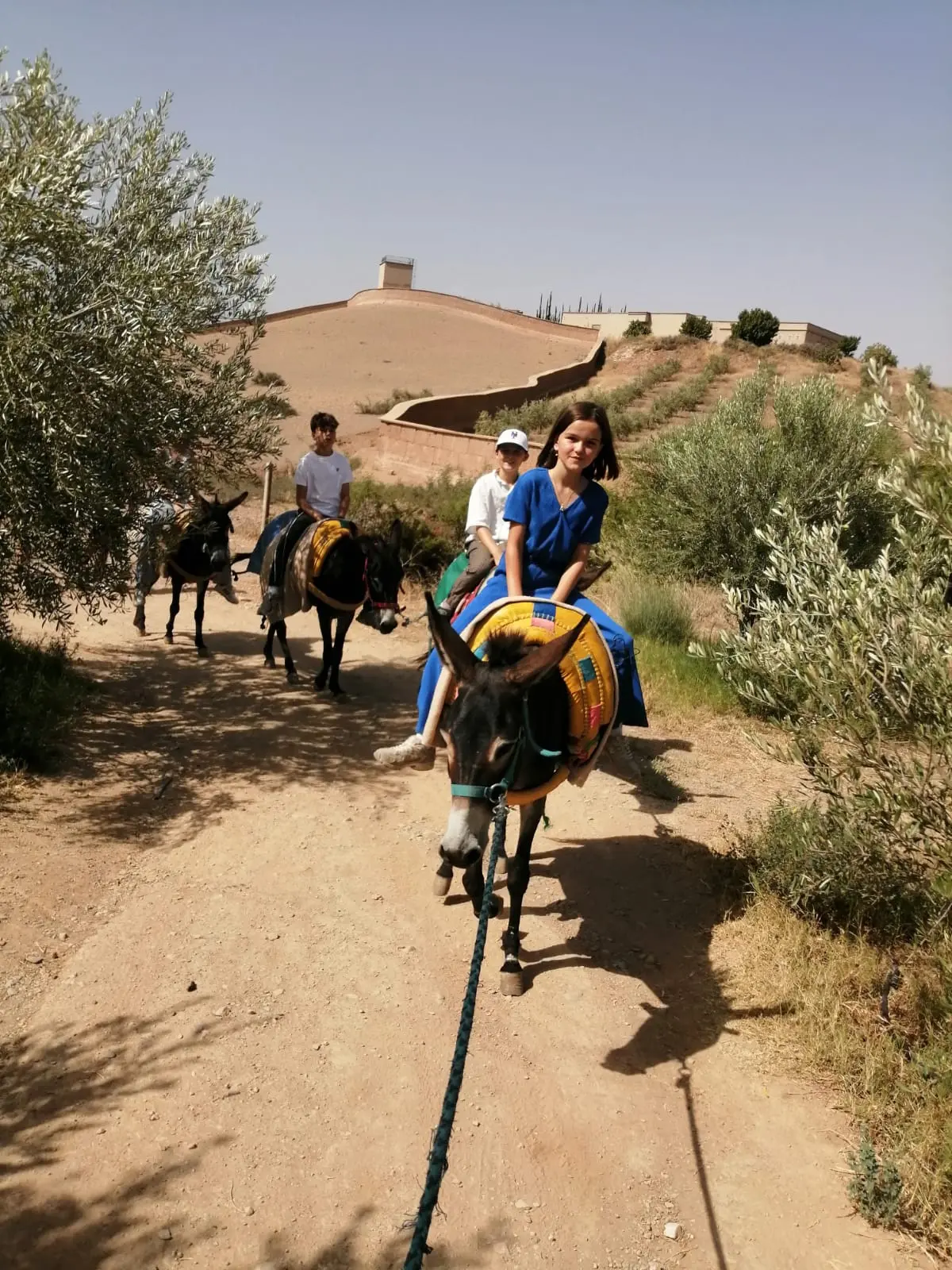 Donkey Ride in Morocco