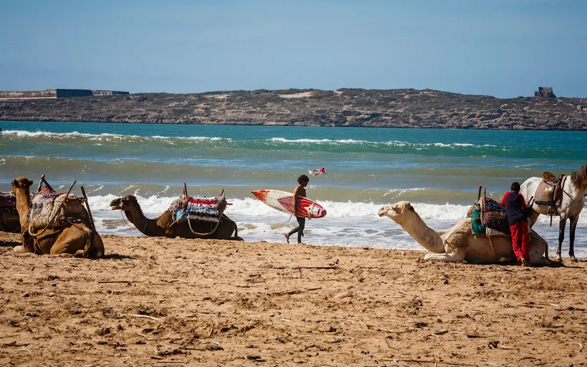 Essaouira surf and coast