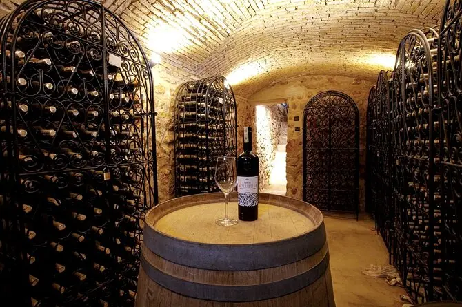 Winery and vineyard near Meknes Morocco