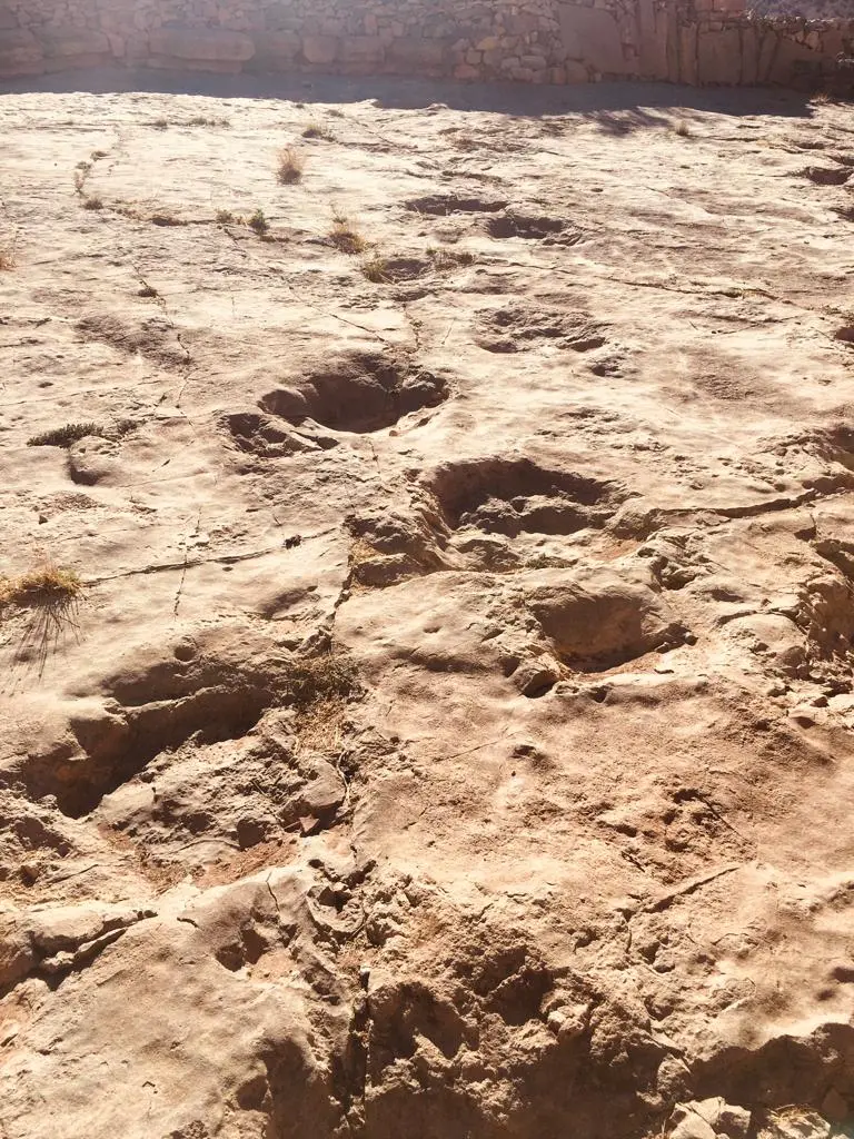 Ait Bouguemez dinosaur footprints