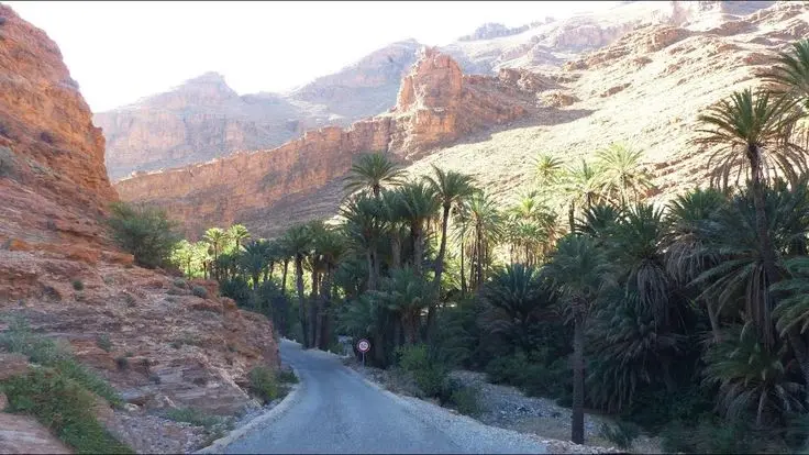 Ait Mansour Valley palm landscapes and Amazigh villages