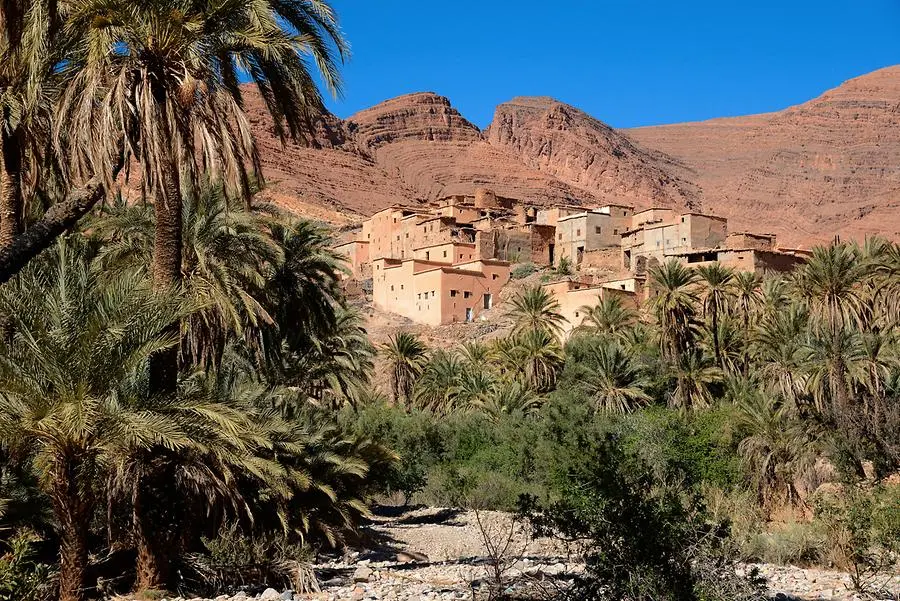 Ait Mansour Valley palms