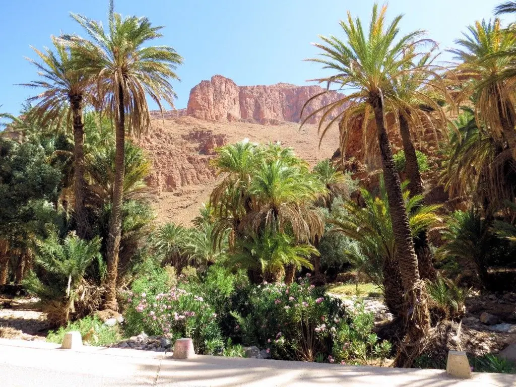 Ait Mansour Valley private Tafraout tour