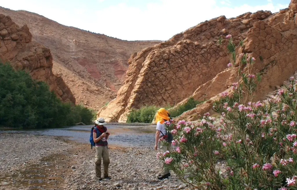 5-Day M'Goun and Remote High Atlas Journey