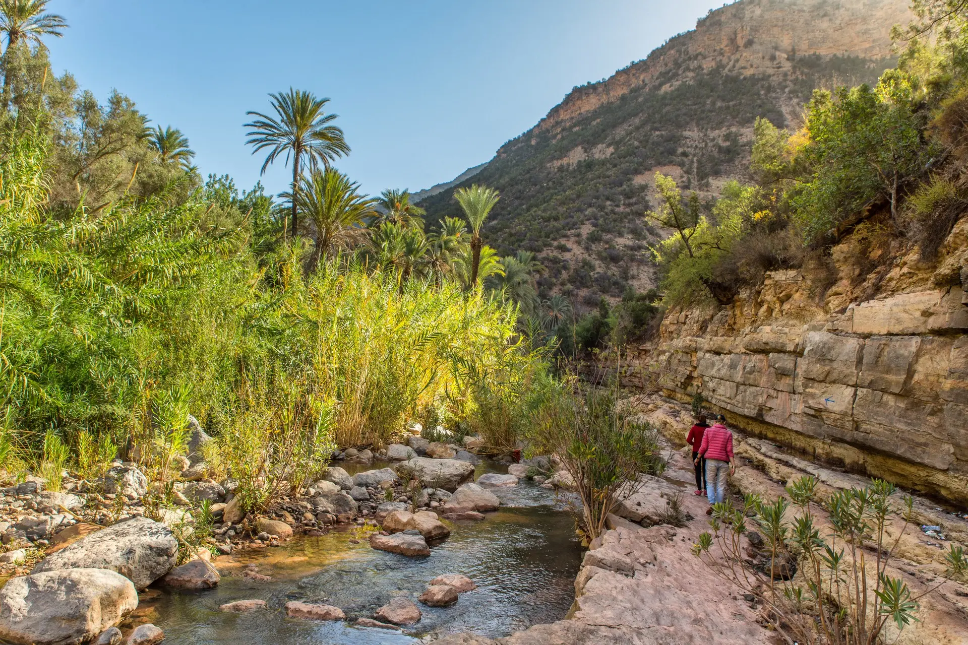 Paradise Valley tour from Agadir with palm landscapes mountains and natural scenery