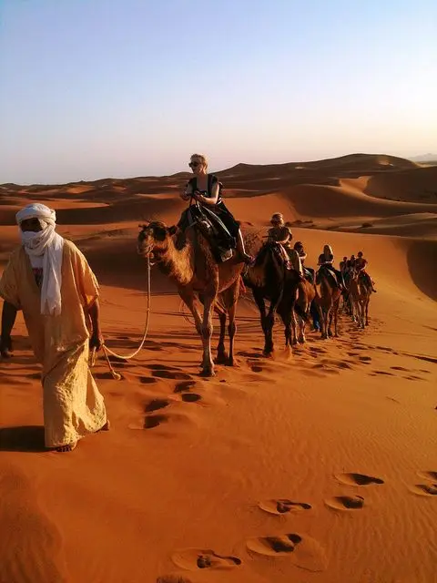 Sahara Desert dunes camel journeys and desert camps in Morocco