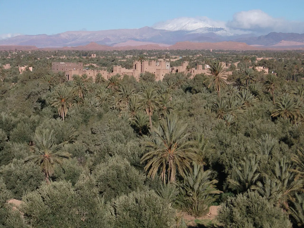 Skoura Oasis and kasbah landscape