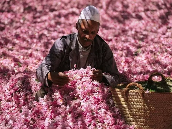 Valley of Roses southern Morocco