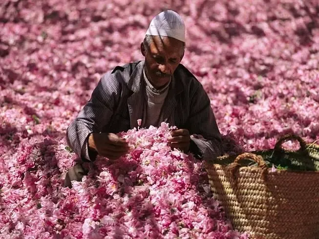 Valley of Roses in southern Morocco